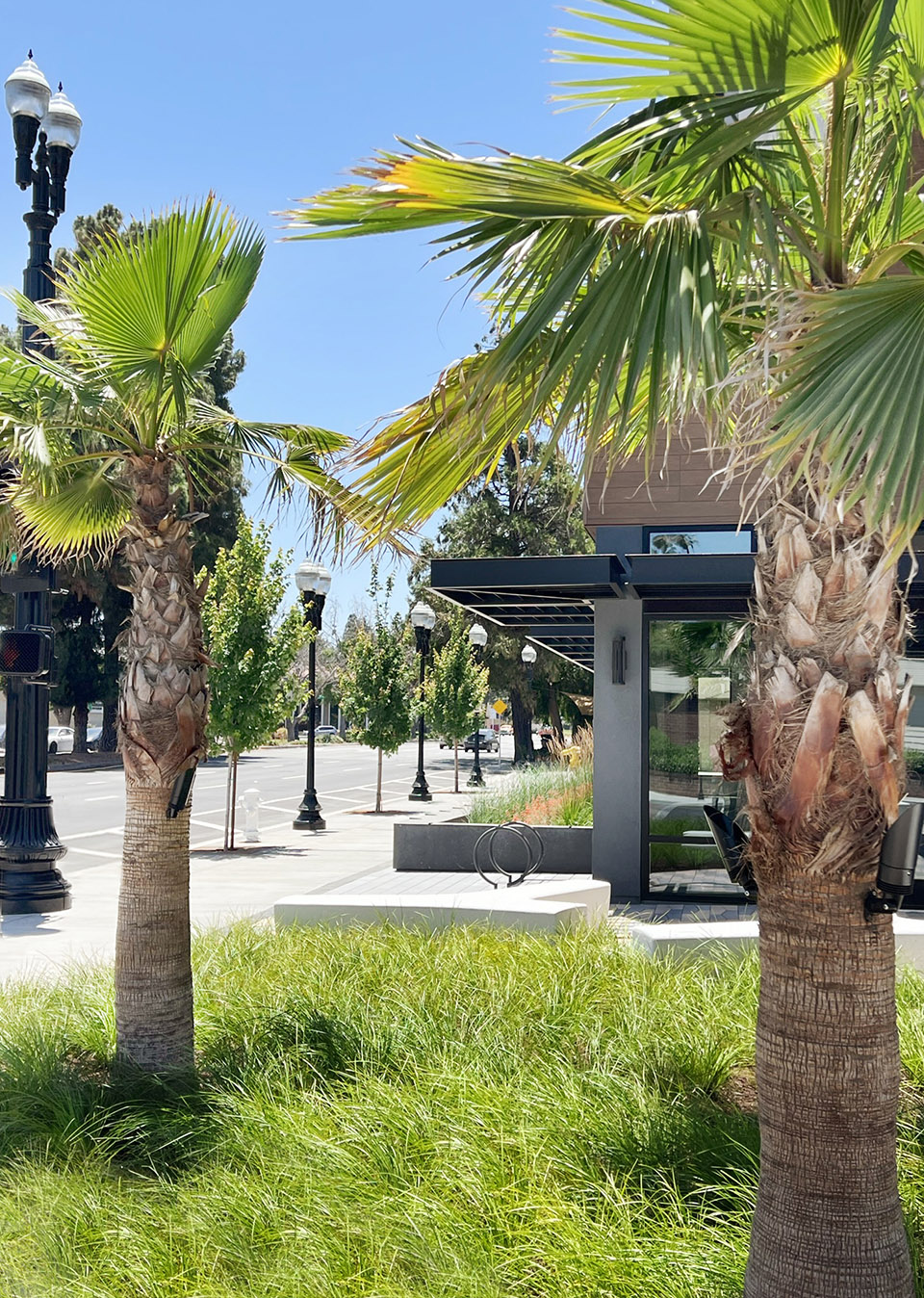 美国 Danny’s 餐厅上空的花园丨美国加利福尼亚丨Spiegel Aihara Workshop (SAW)-22