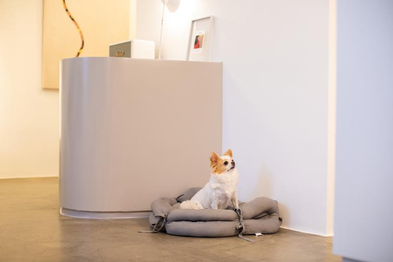 15 平米宠物咖啡厅，简约设计展现温馨氛围-12