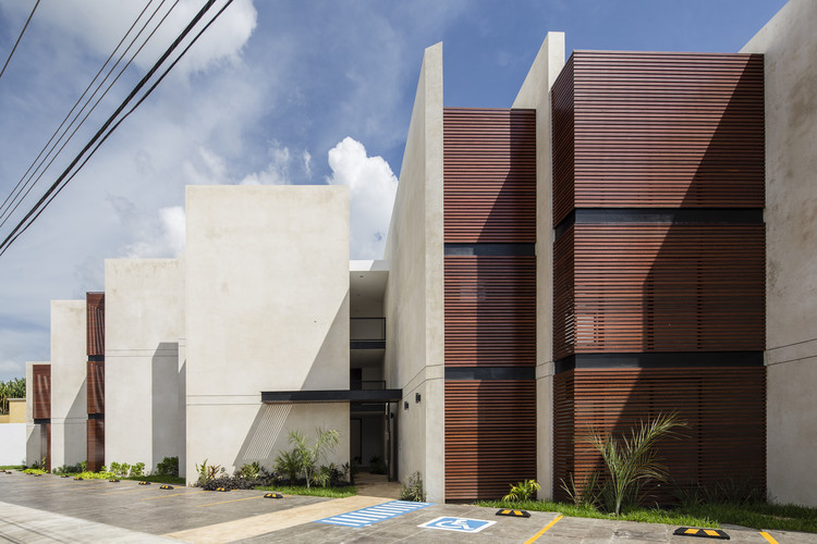 萨尔瓦多 150 号 | 混凝土与本土特色的共生住宅-14