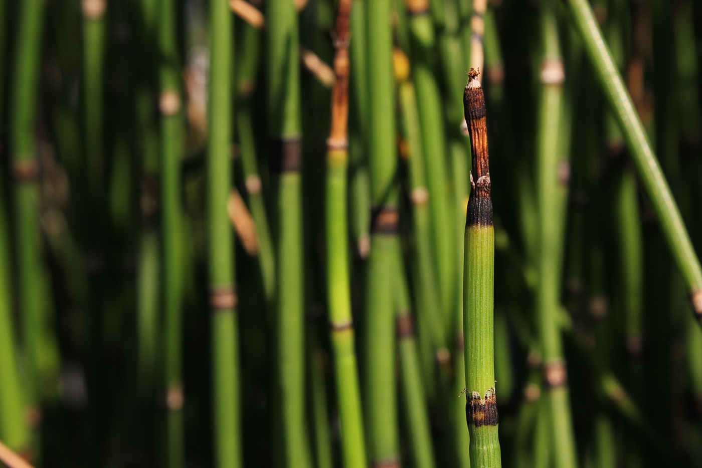 2019_Photography Assignment_01-0