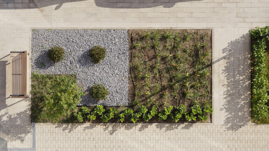 ЖК «Фрукты»小区庭院景观设计丨俄罗斯克拉斯诺达尔丨CORE-34