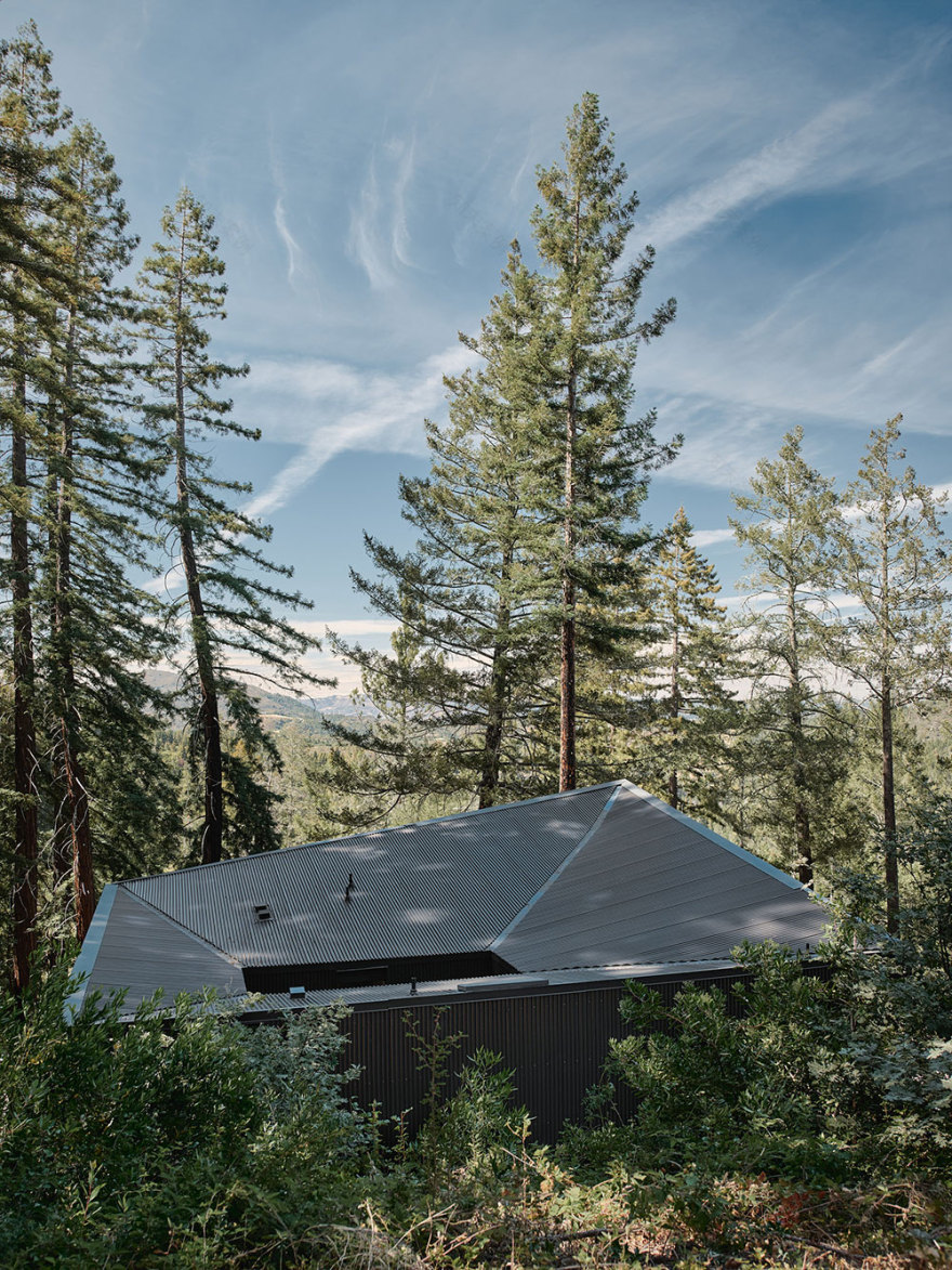 加州纳帕谷的现代玻璃金属森林别墅-22