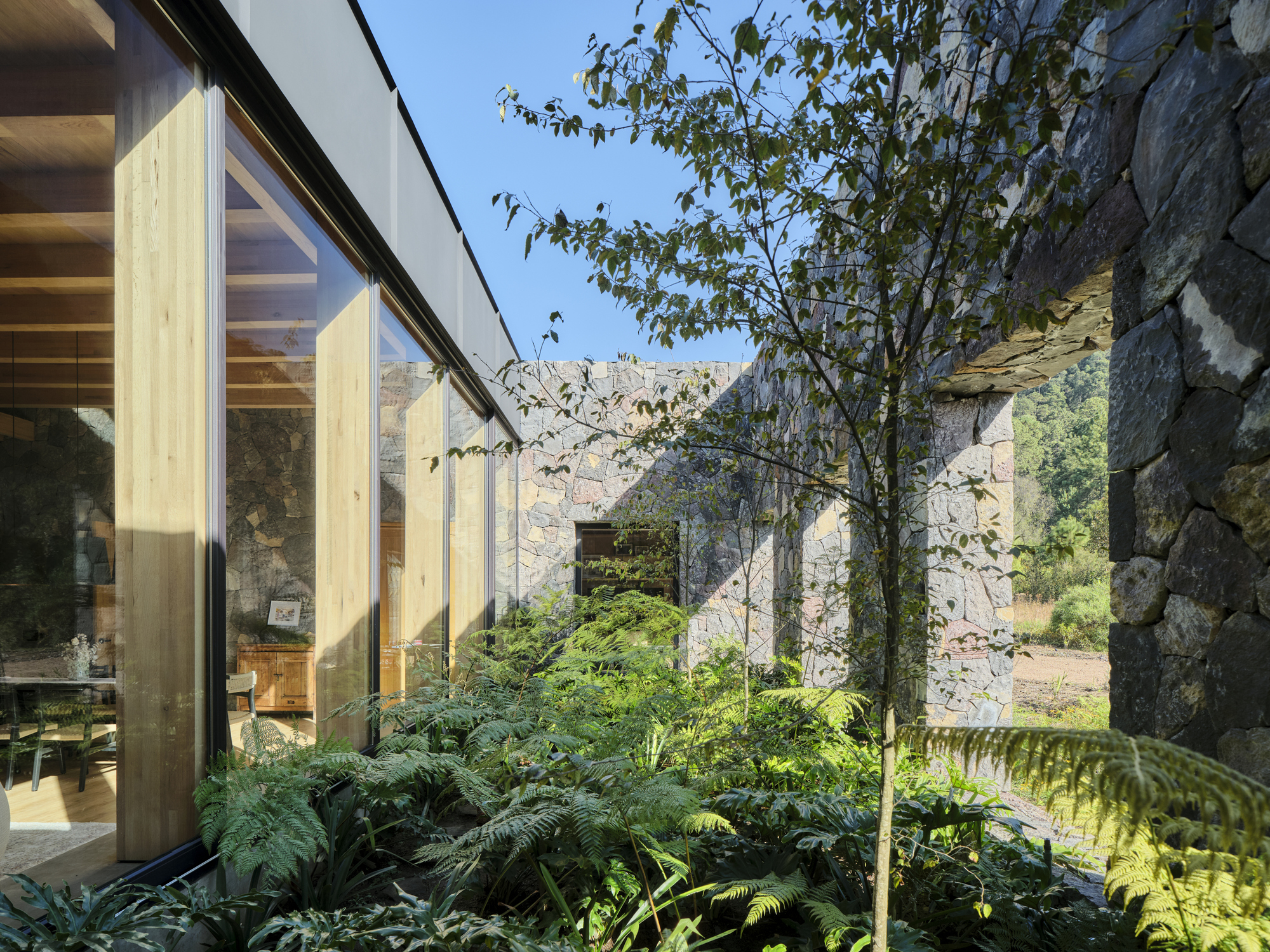 卡萨 FS丨墨西哥丨Weber Arquitectos-17