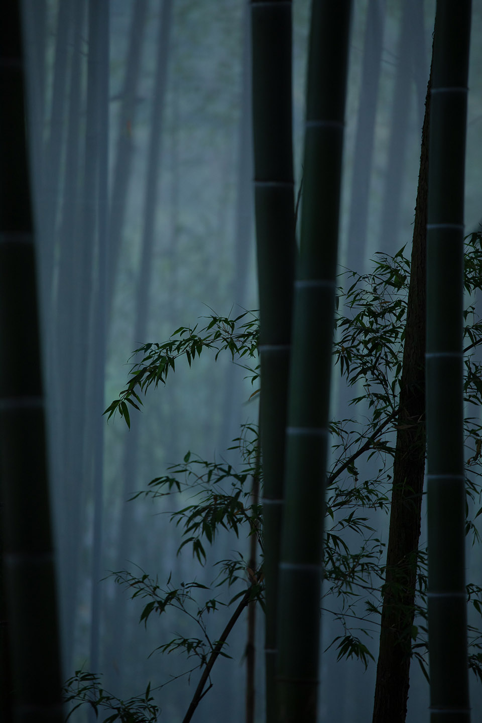 重庆“环舟奇迹”沉浸式户外游戏场景丨中国重庆丨WTD纬图设计-31