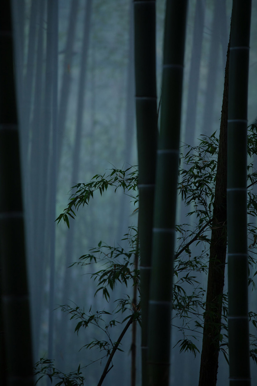 重庆“环舟奇迹”沉浸式户外游戏场景丨中国重庆丨WTD纬图设计-31