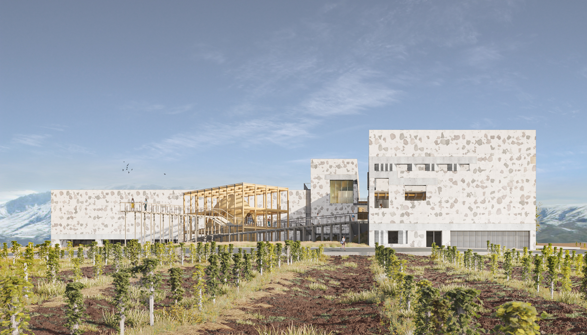 库尔葡萄酒厂丨electricarchitects-1