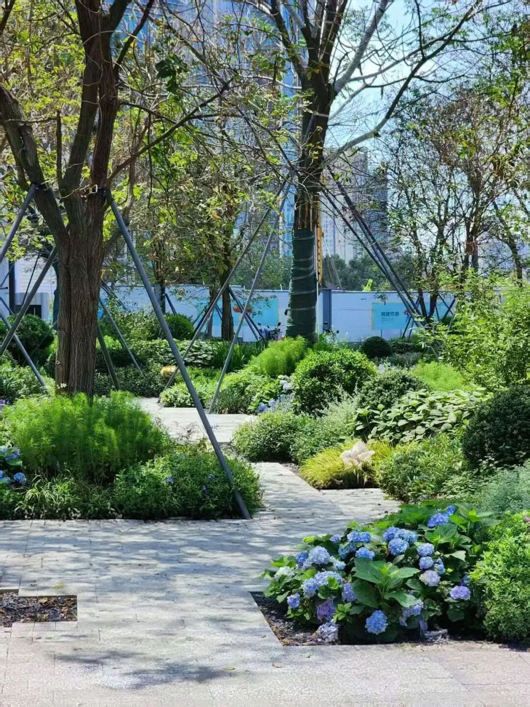 奥城景观||深圳•招商•前海经贸中心大厦环境综合提升工程-26