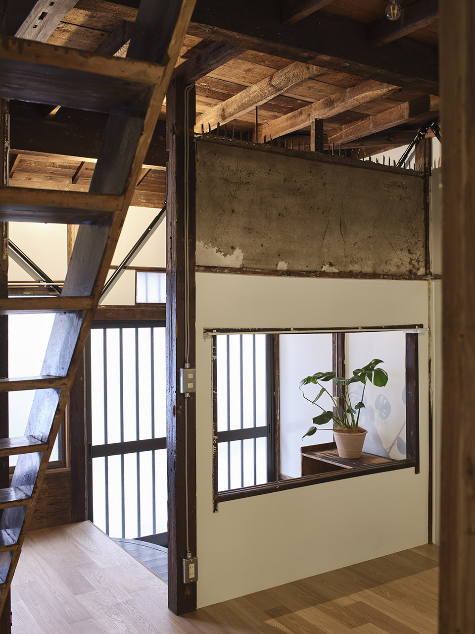 向島の長屋丨日本东京丨Roovice+Cabbage Truck-65