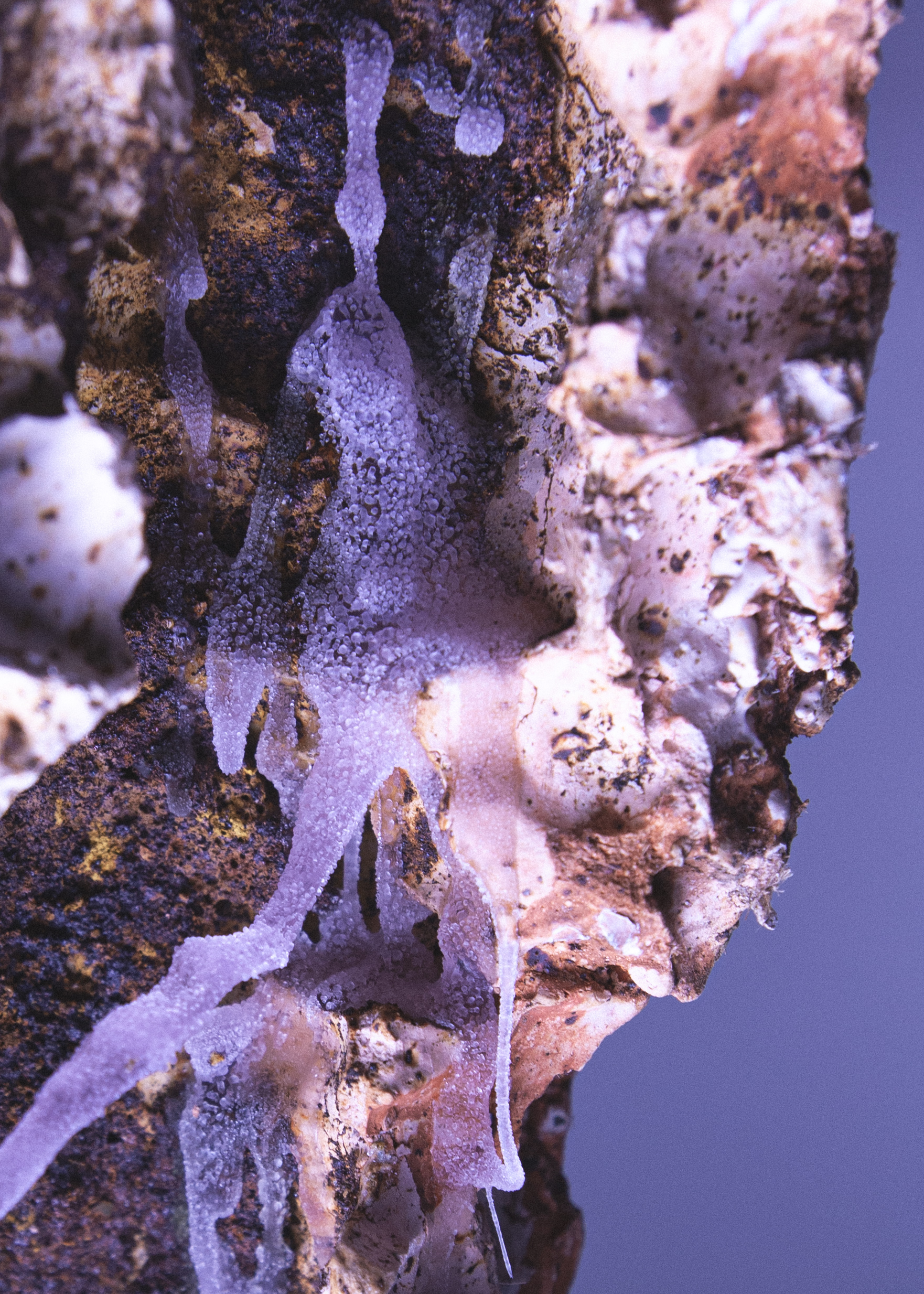 地形，生命形态丨未明确提及-12