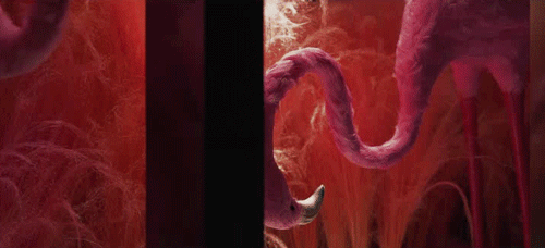 曾建龙打造花禾牛浦东店 | 红艳空间里的美学盛宴-5