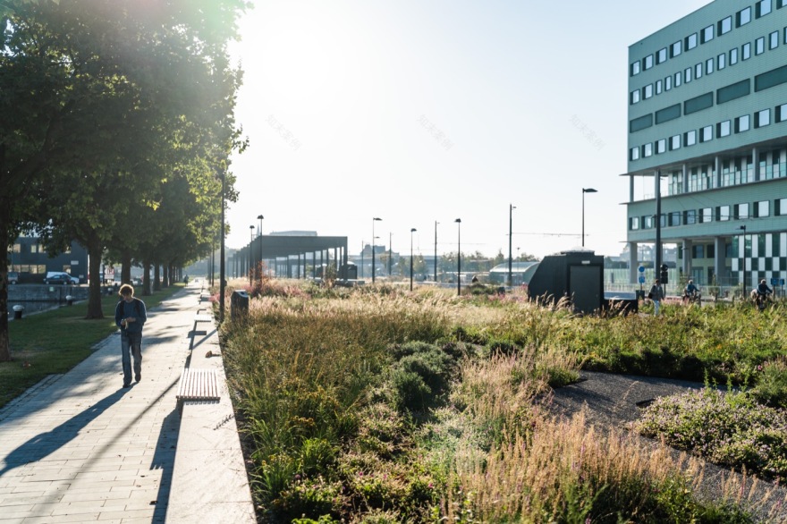 安特卫普医院公共空间设计丨比利时安特卫普丨不详-23