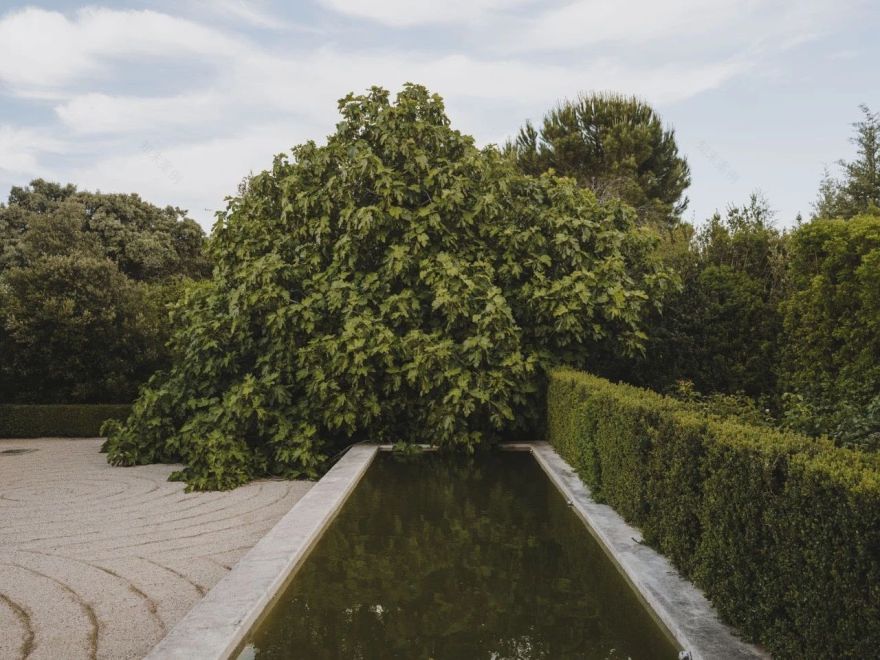 "园丁"Fernando Caruncho 的景观设计 | 光影与哲学的完美结合-35