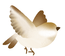 吉品空间设计|中玺·月琴湾C户型|干净纯粹,大美无言-1