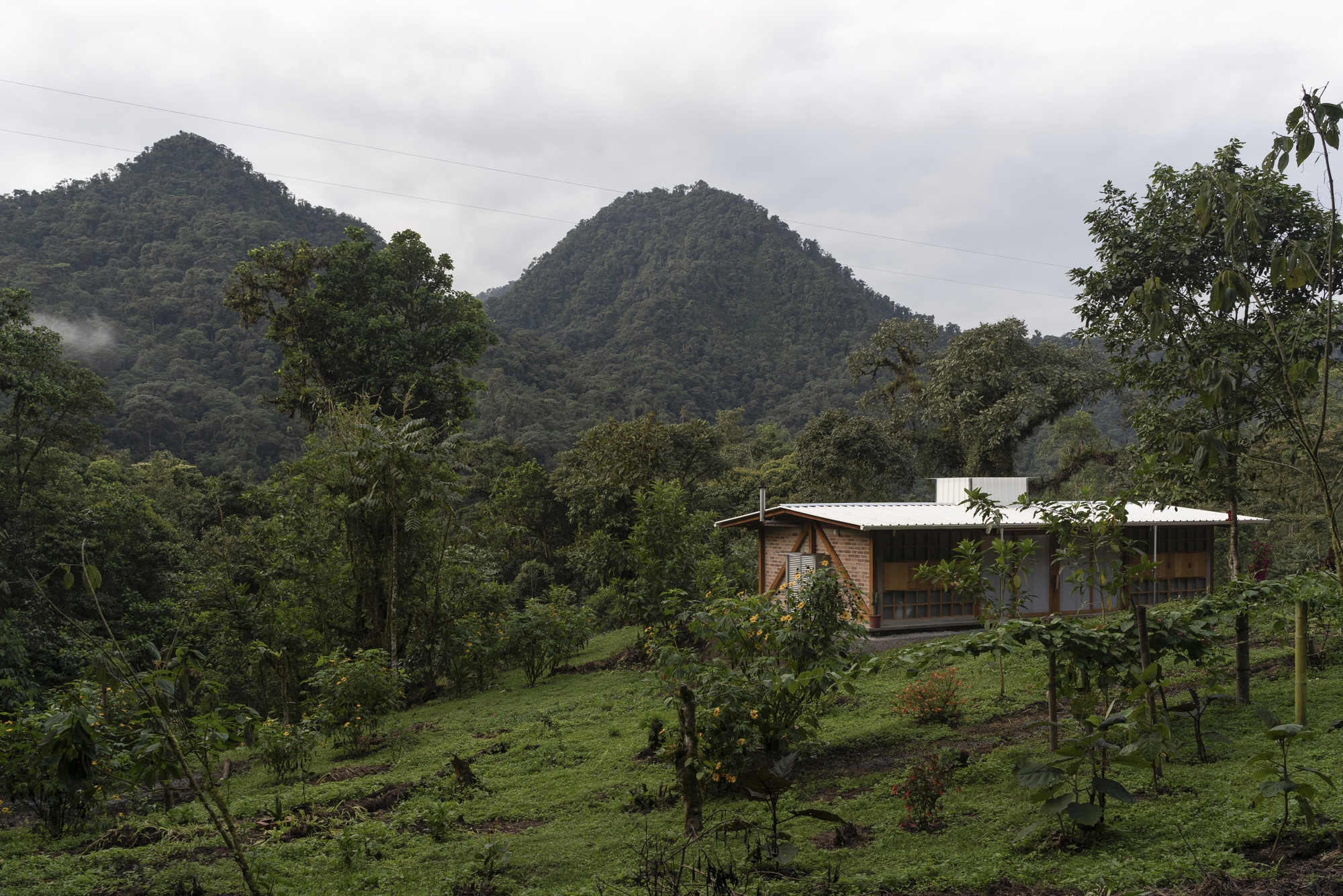 自建房丨厄瓜多尔丨Idem-14