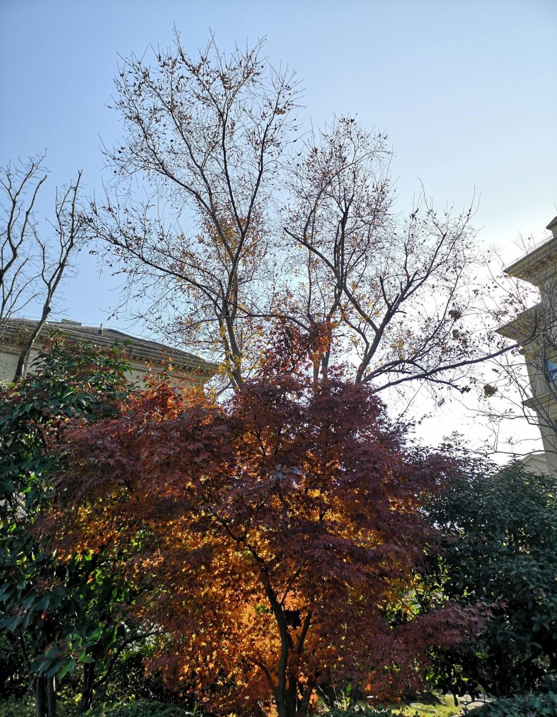 温馨日式适老居所 | 地下室采光充足,儿童元素丰富-4