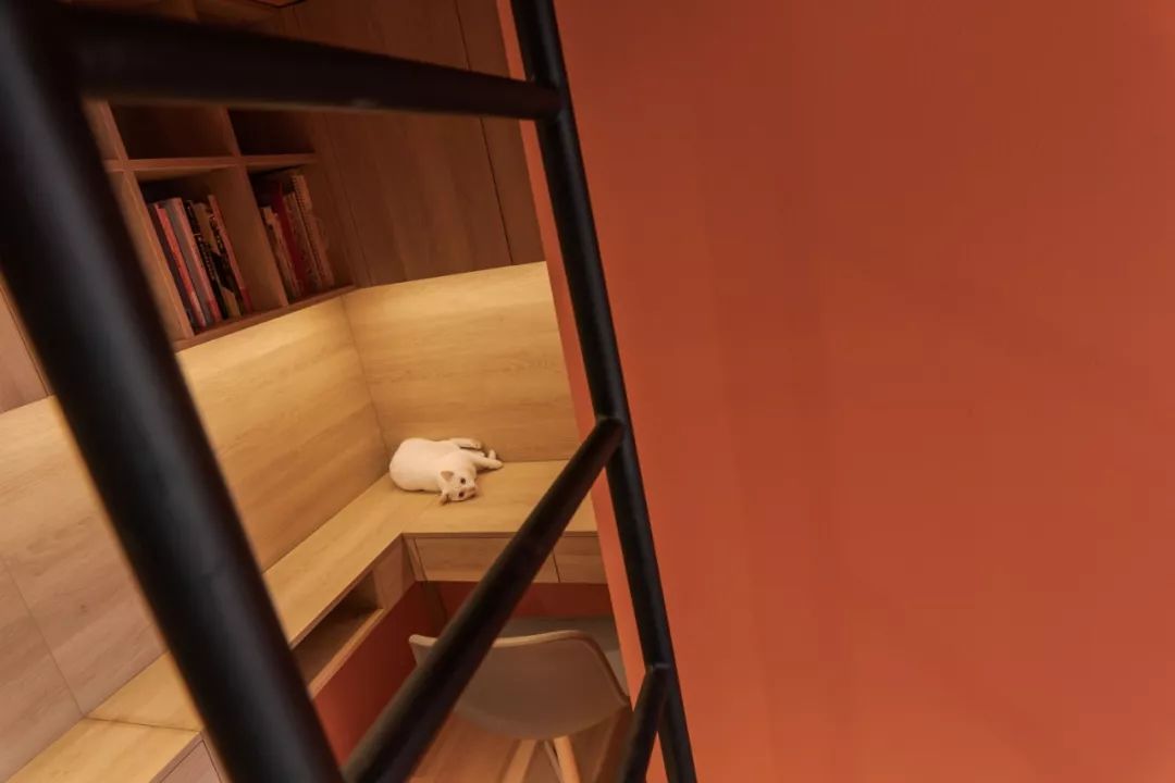 让50平老房安放两人一猫  张通-67