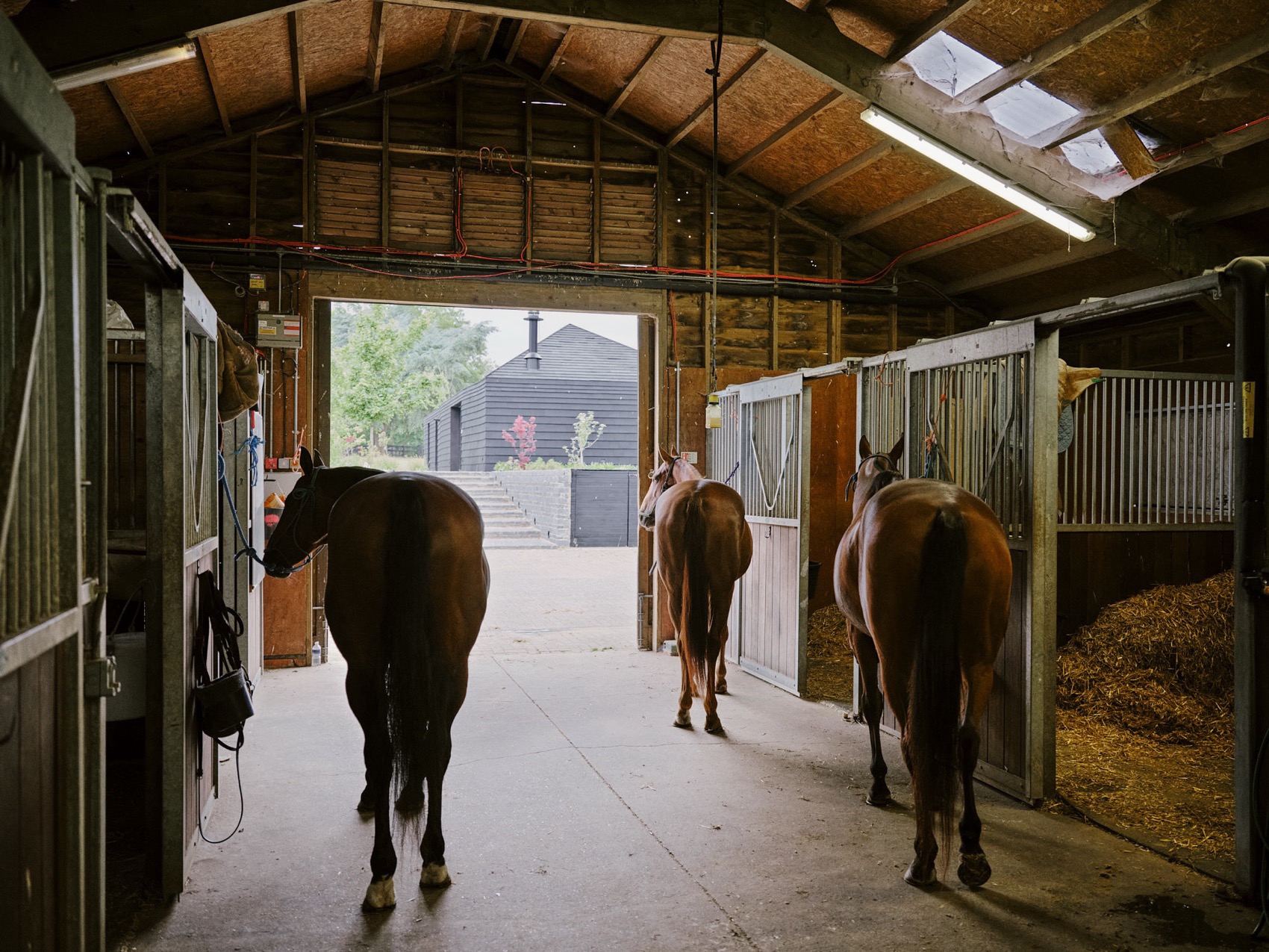 ARC马场丨英国丨Da Costa Mahindroo Architects-102