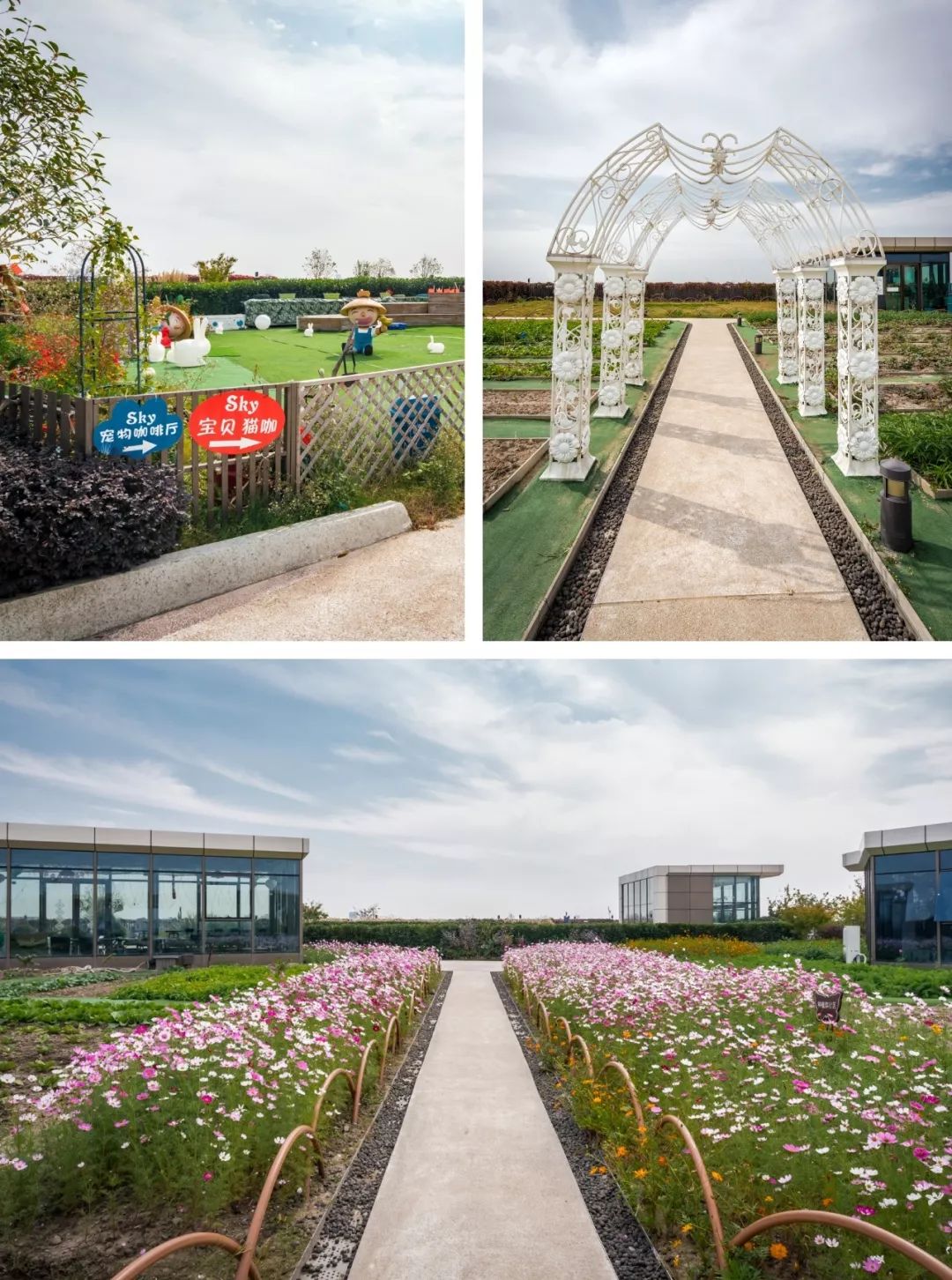 东方渔人码头丨中国上海-95