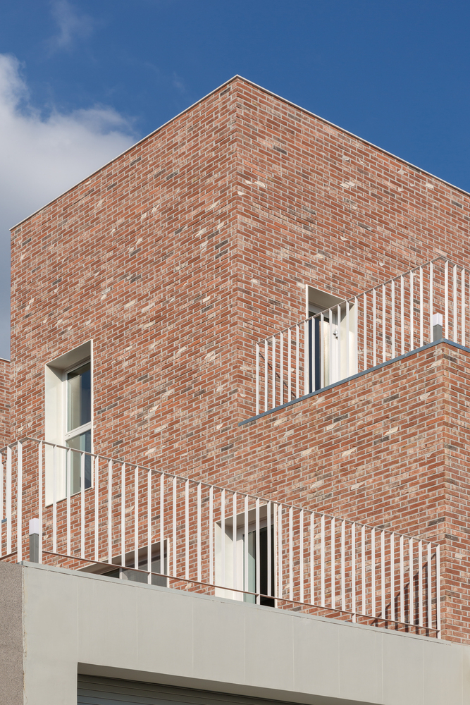 Poly House  Farming Architecture-43