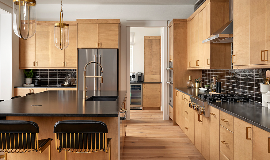 Single Family Architecture - Premier Collection at Westerly - DTJ Design-34