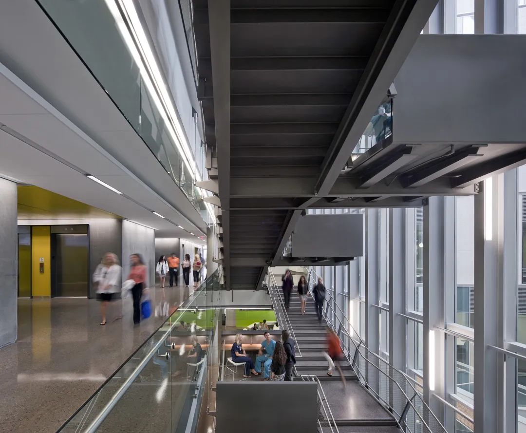 沙漠峡谷中的健康科学教育大楼丨CO Architects-32