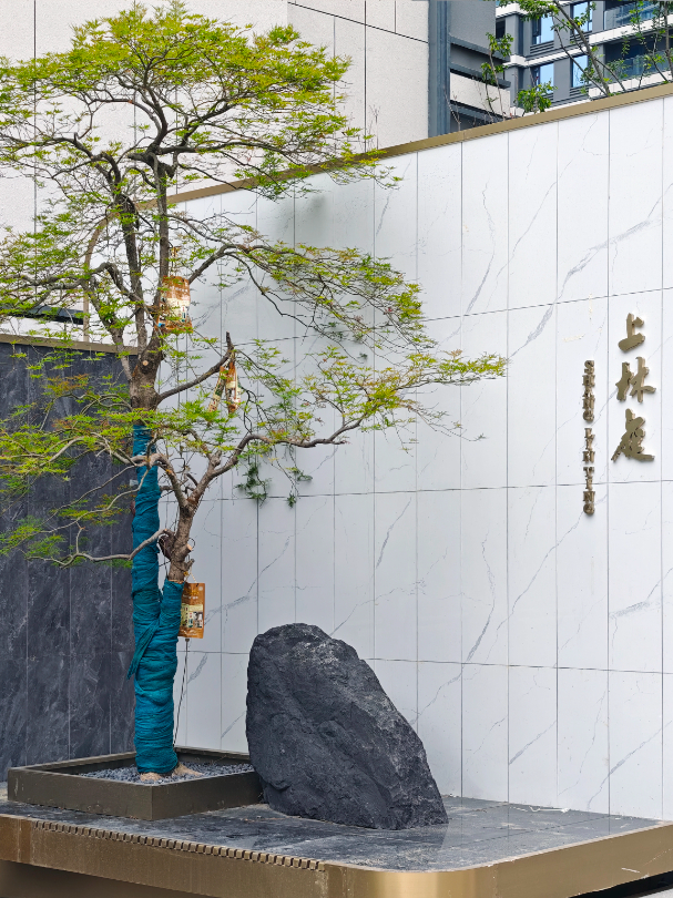 科技赋能智慧建造丨这个项目全面完工！-7