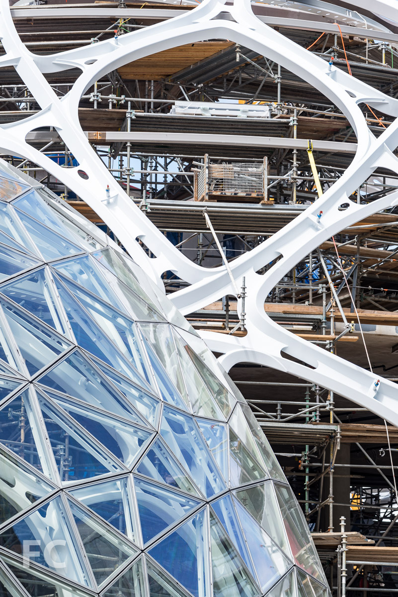 Amazon Headquarters Seattle — FIELD CONDITION-14