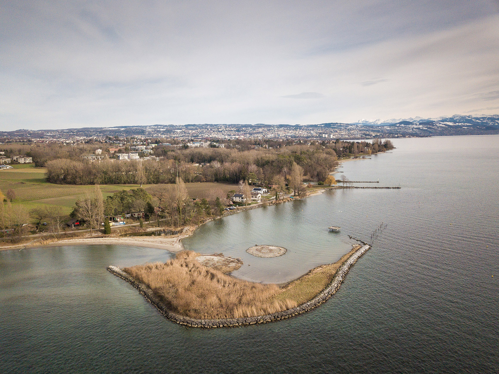 鸟岛屋丨瑞士洛桑丨LOCALARCHITECTURE-5