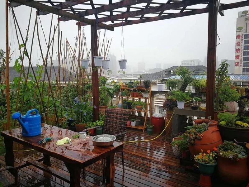 不惑之年，他自己动手建了一座楼顶花园，养花种菜喂鱼……-174