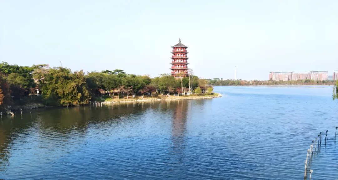 【获奖项目巡礼】⑤：从“引流”到“生根”——城乡融合型村庄的流量运营新探索-38