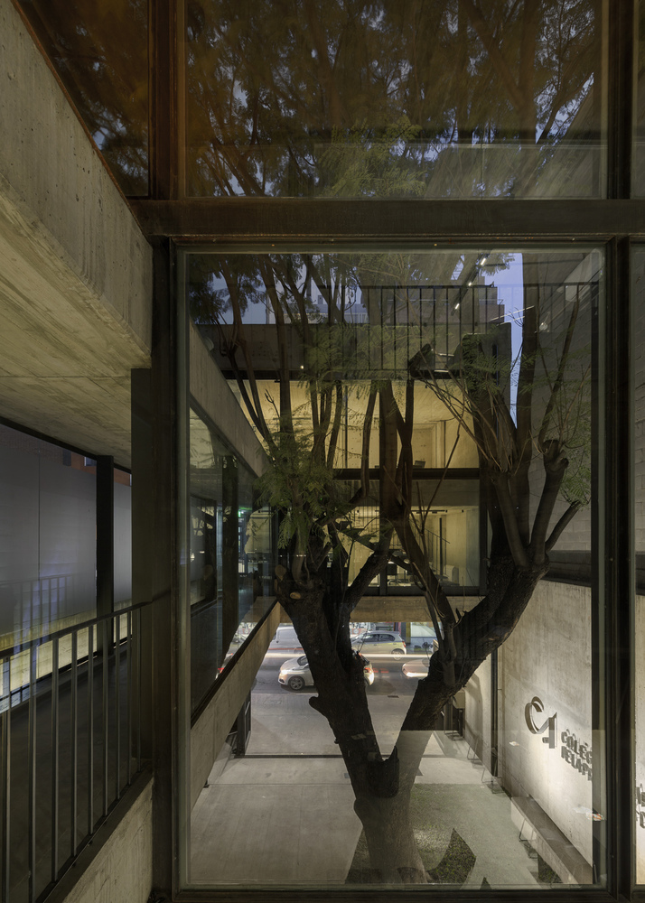 阿根廷建筑师协会总部 · 混凝土与绿意的共生-52