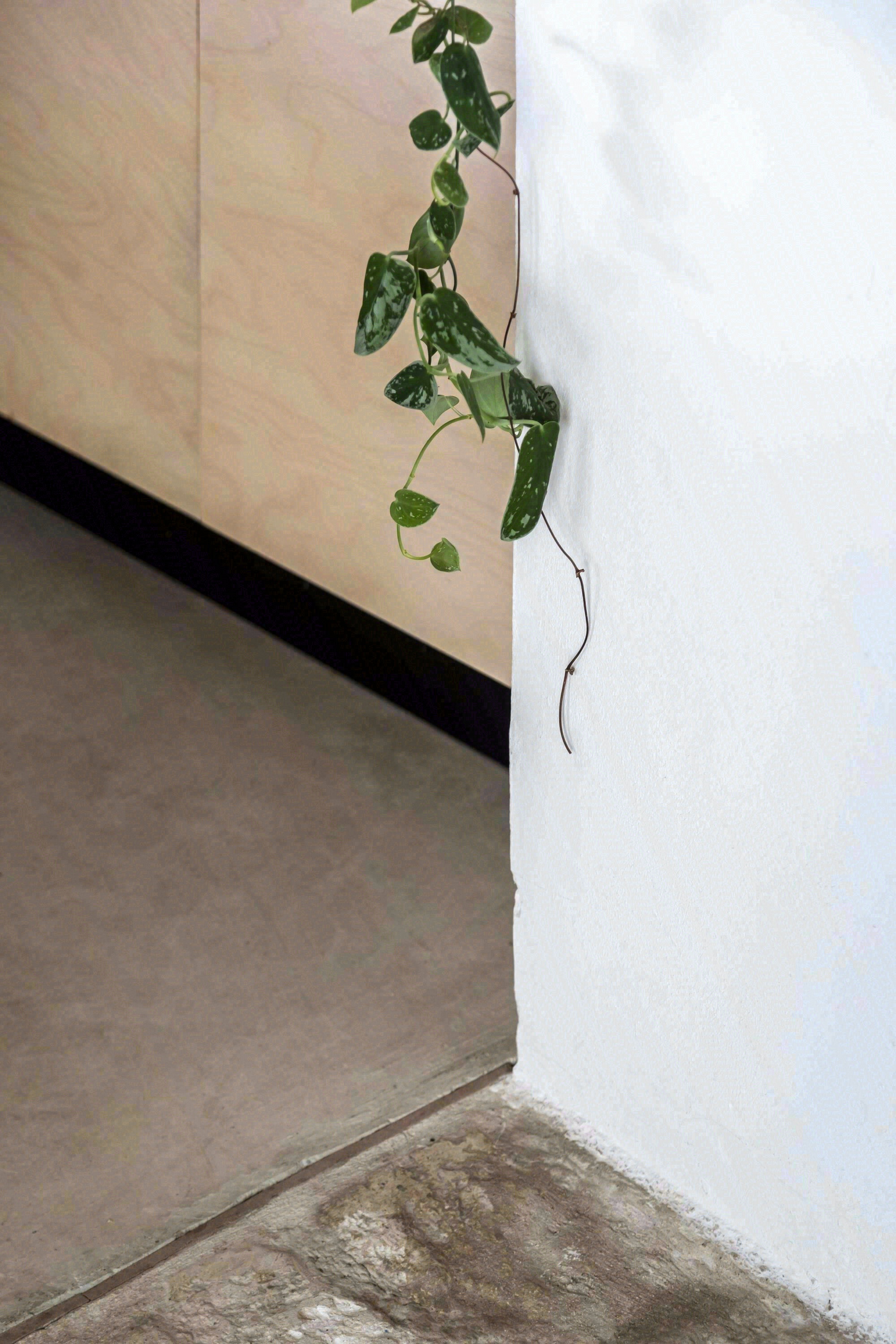 庭院屋丨秘鲁利马-39