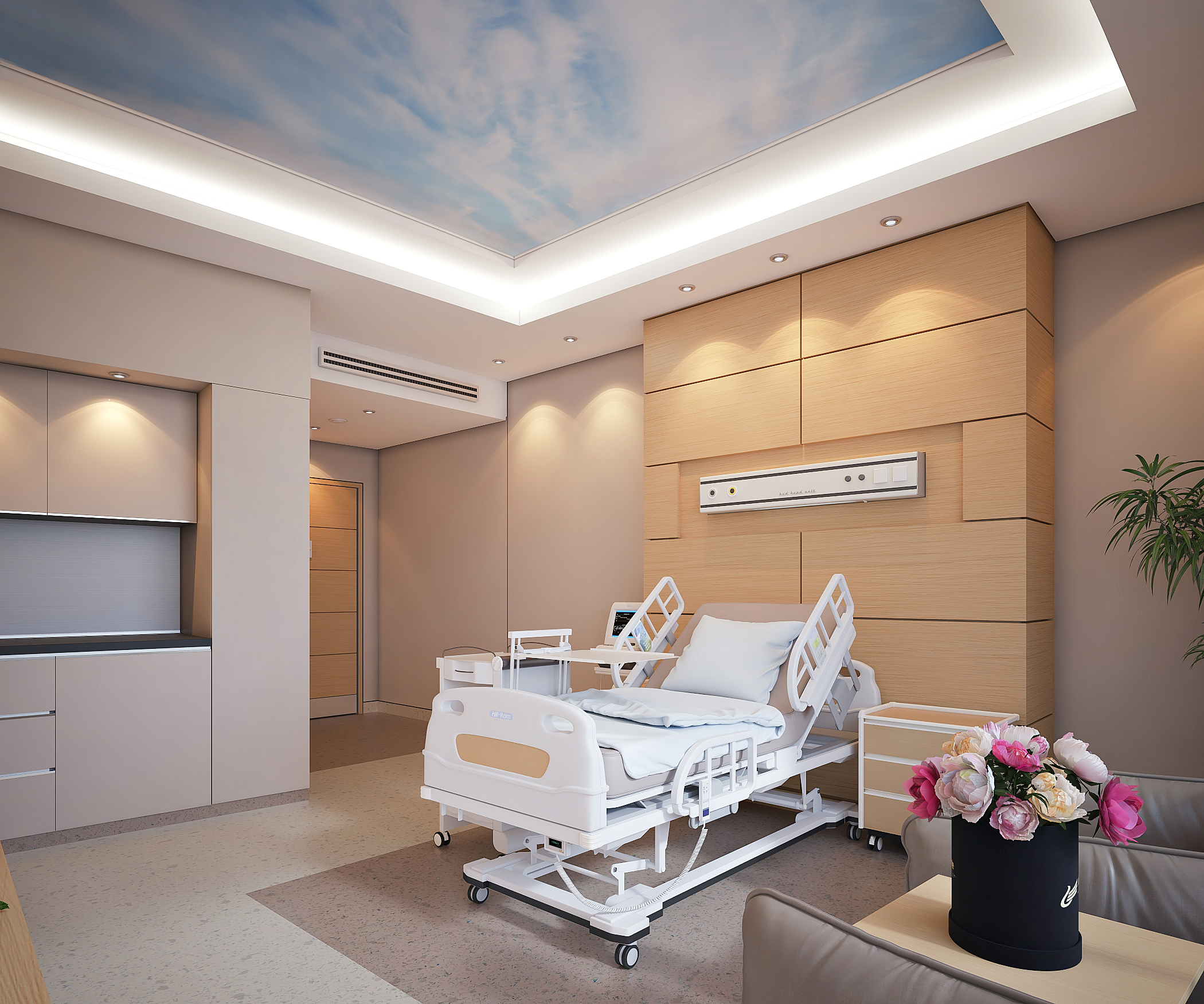 Luxury Hospital Suite Room-3