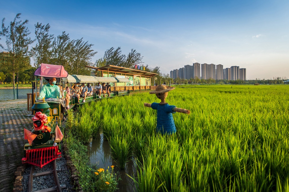 长安公园稻香园丨中国西安丨上海赤地设计事务所-16