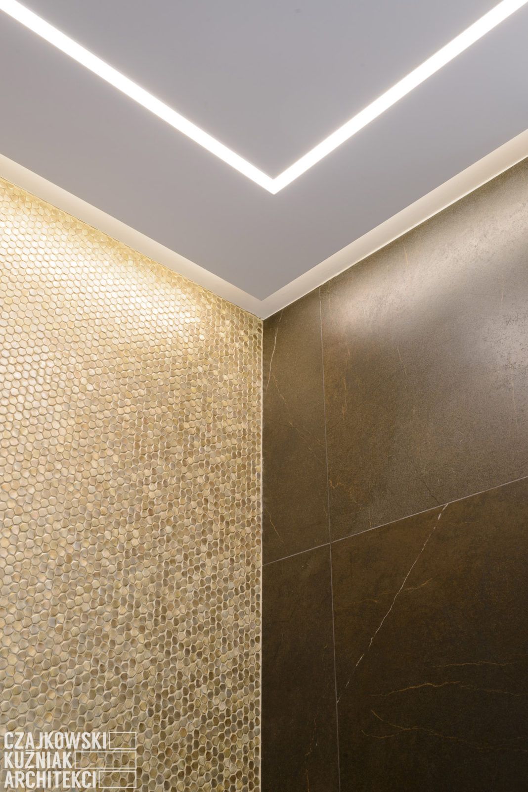 ARANŻACJA WNĘTRZ（室内布置）丨波兰卡托维兹丨Czajkowski Kuźniak Architekci-275