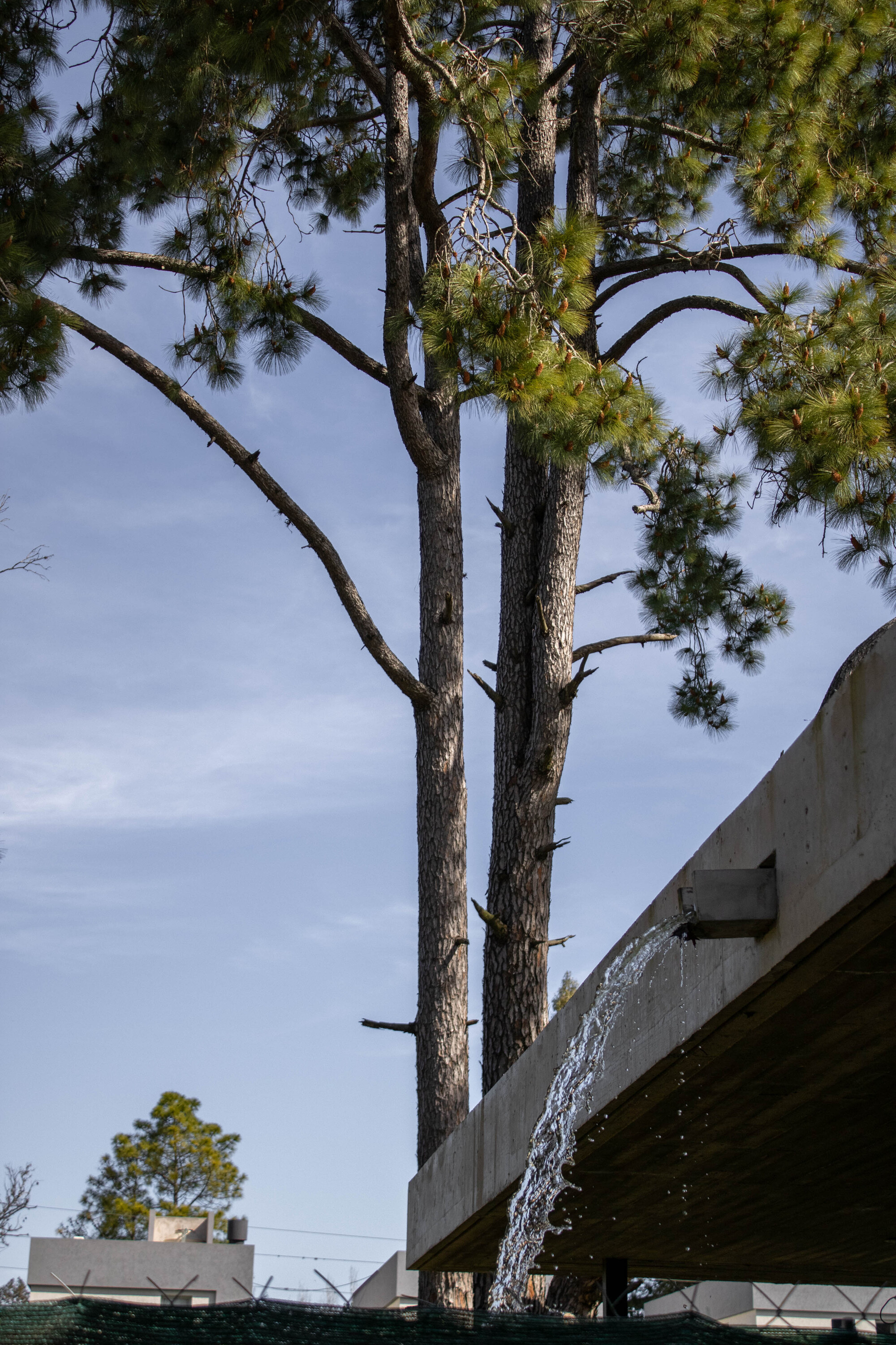 丨阿根廷拉普拉塔丨Simón Albina-33