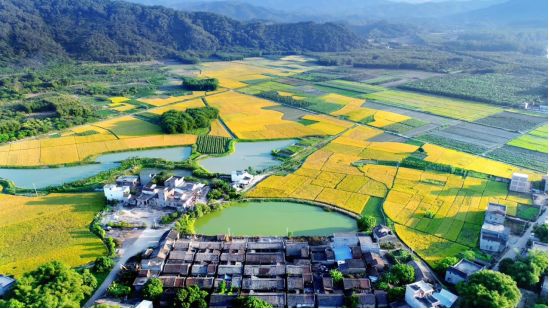 《广州北部地区城市设计》 | 山水林田城,构建城乡野全域景观-37