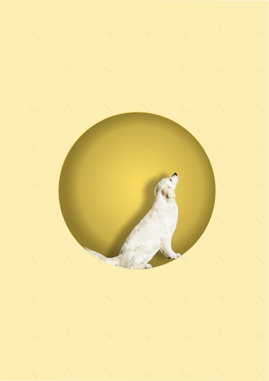 Echoes of the Heart: Healing Center P2-28