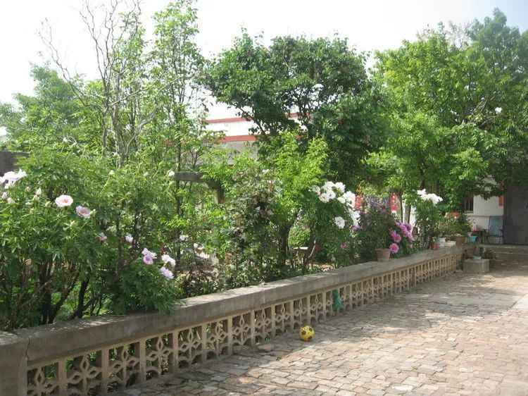 院落生活 | 诗与远方的完美结合-72