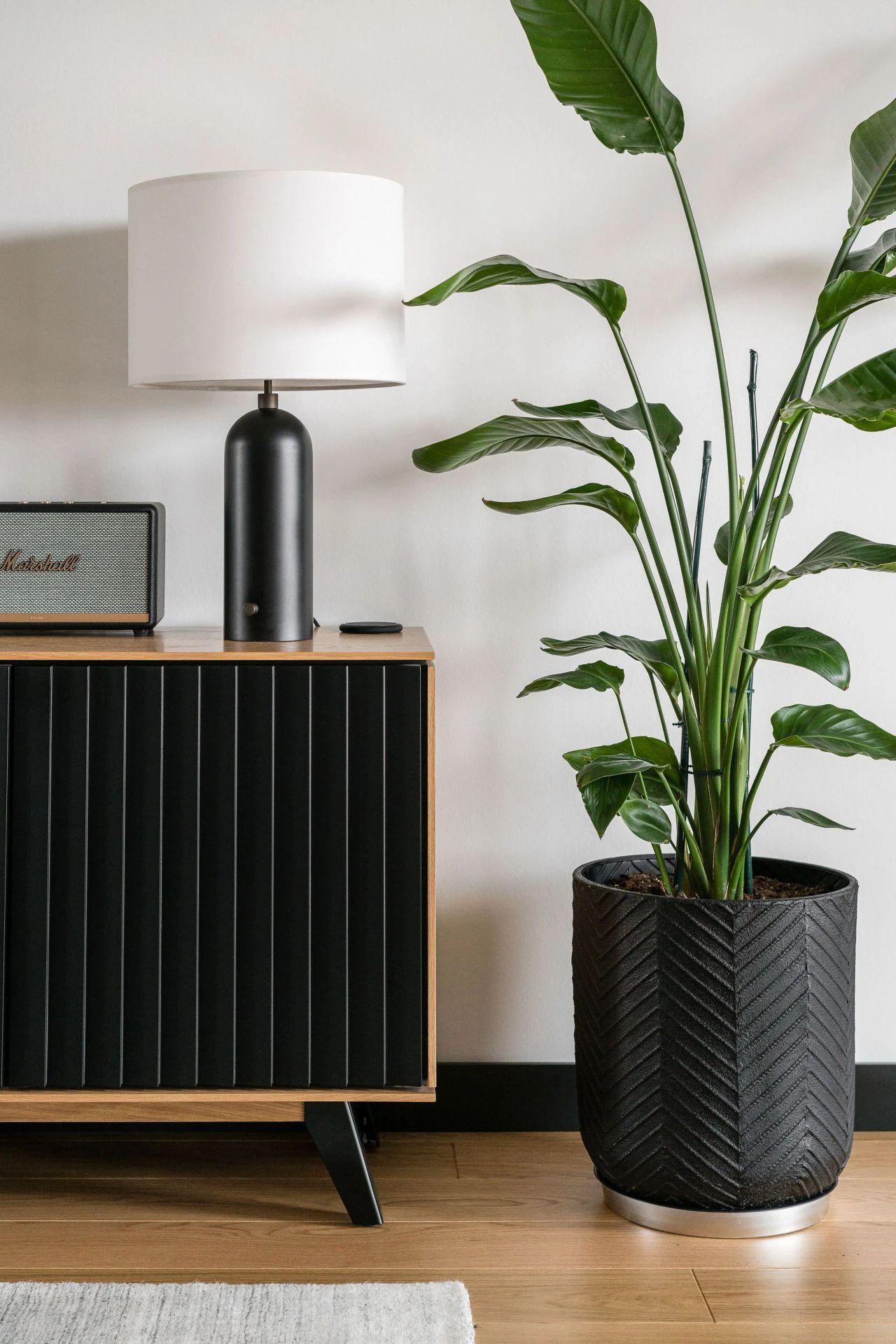 波兰 Koszalin 公寓改造丨Agata Brach-10