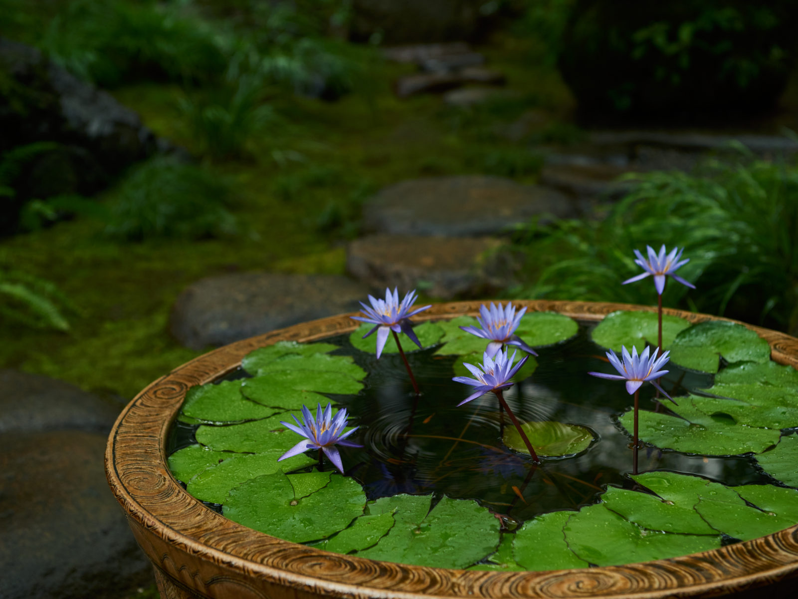 GUCCI Bamboo House | WORKS | BOTANICAL ARRANGEMENTS TSUBAKI-4