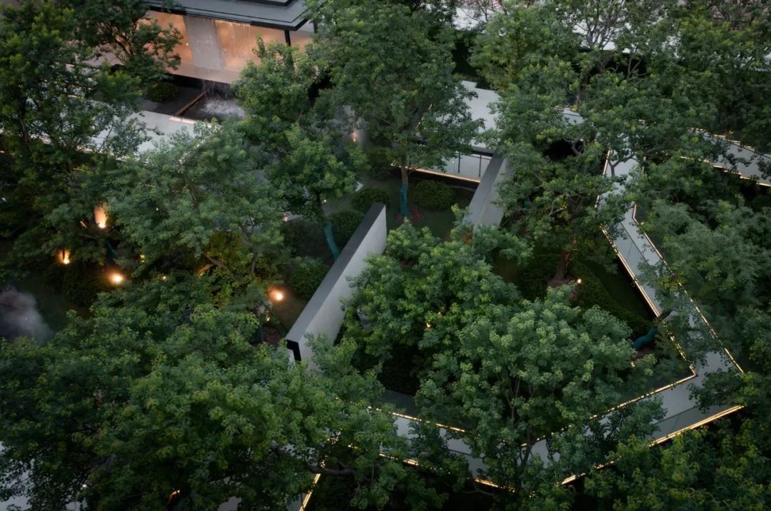 金沙操盘 | 成功经验：从河南火到全国各地（实地考察+主题演讲）-96