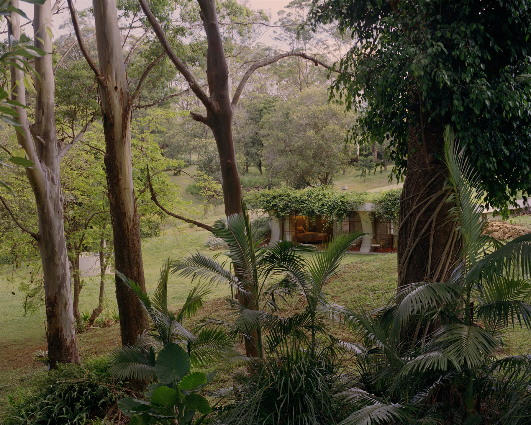 帕洛玛丨澳大利亚悉尼丨Fearon Hay-73