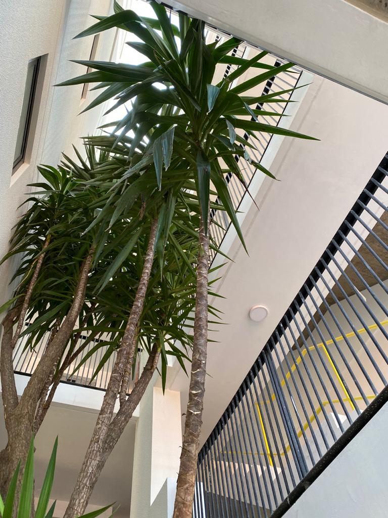 加上外加和等丨墨西哥丨KG+STUDIO-31