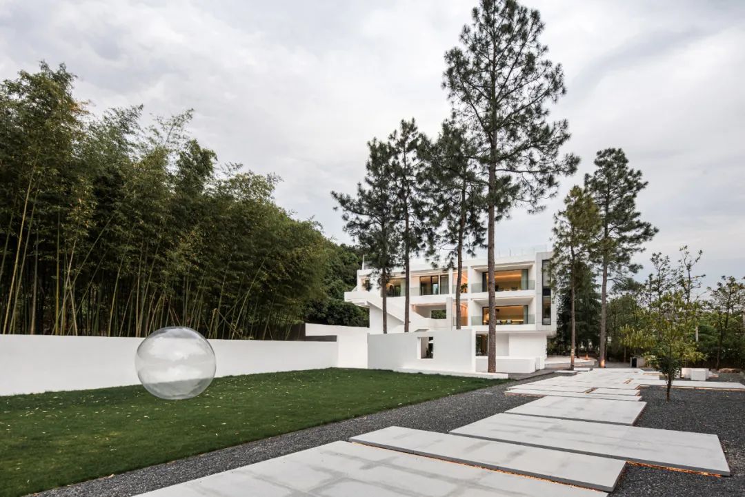 莫干山秘境杉林,尽享自然之美-38