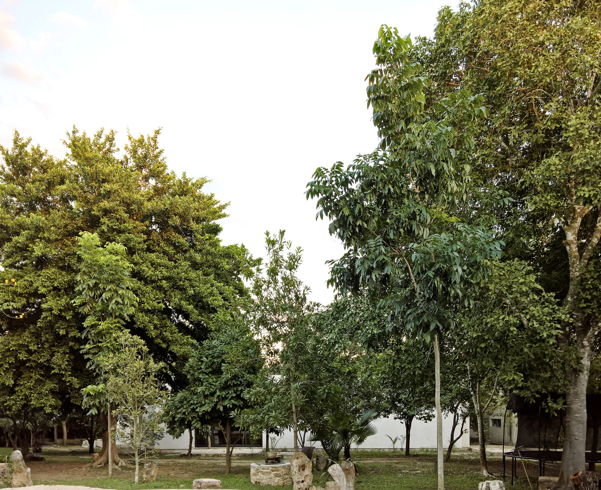 隐秘庭院 · 绿色核心的家庭住宅-13