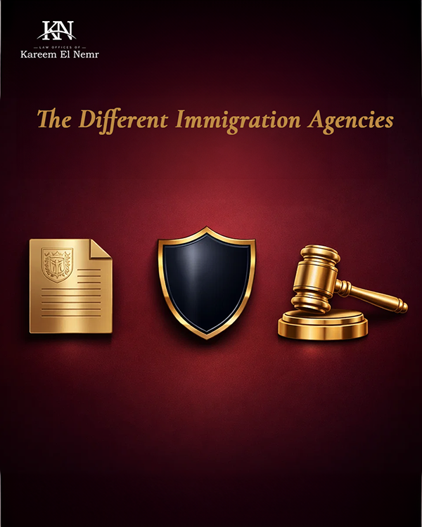 Immigration Law Branding & Content Design-7
