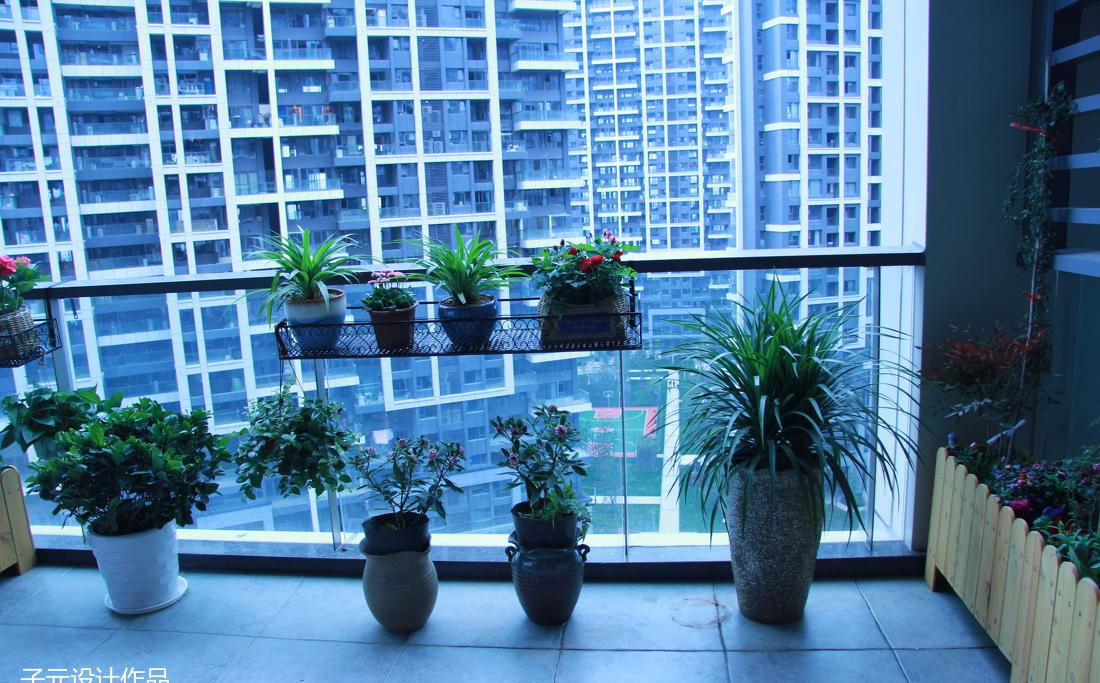 义乌·荷塘月色-38