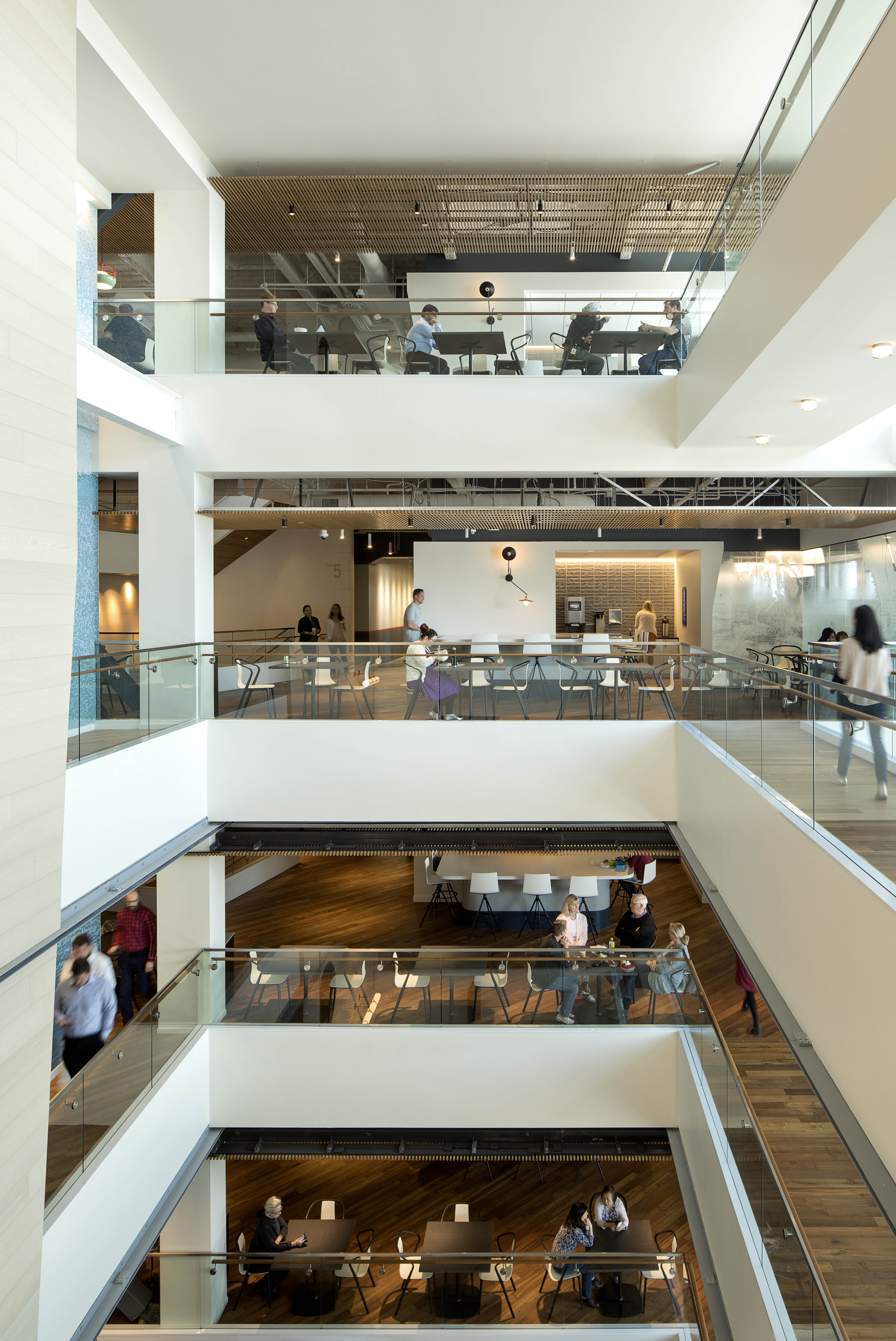 holland america group hq-19