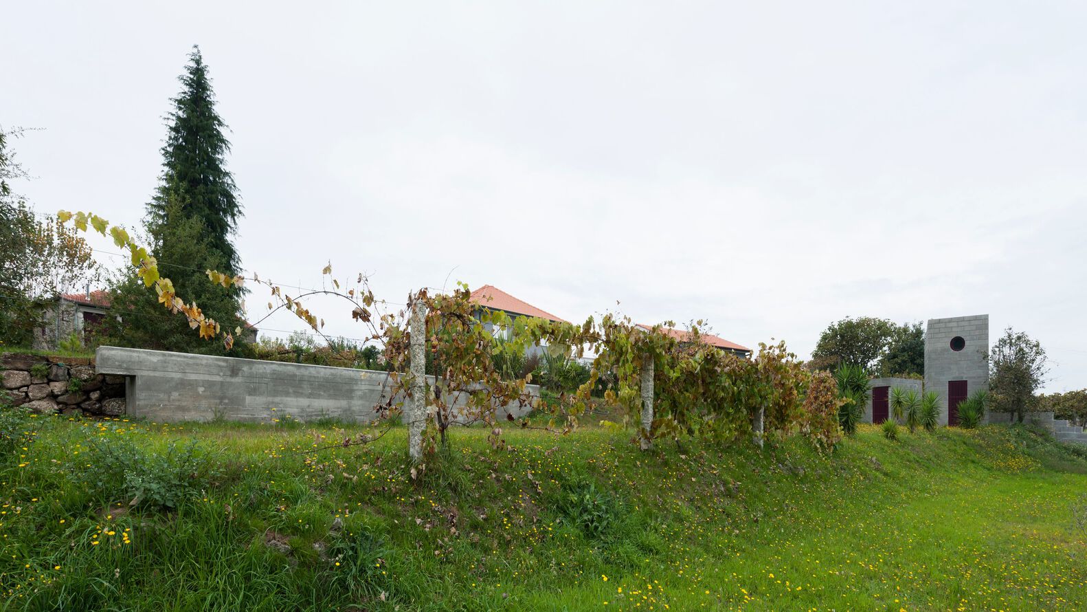 葡萄牙 Coura 简约度假屋丨Luís Peixoto-33